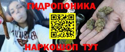 хмурый Гусь-Хрустальный