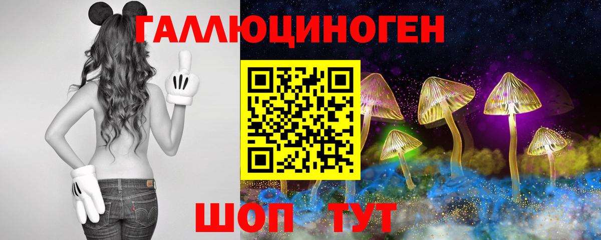 Псилоцибиновые грибы MAGIC MUSHROOMS  Вход с VPN  Можайск 
